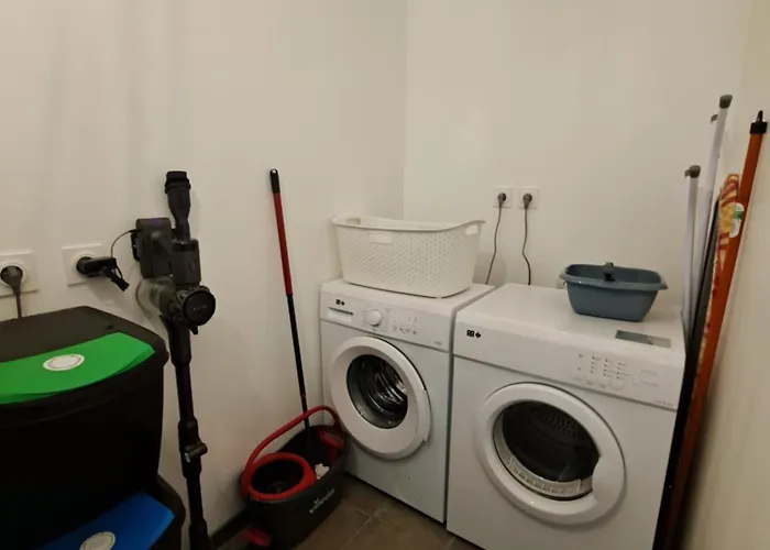 Les Abeilles Du Mont D'or * Manosque